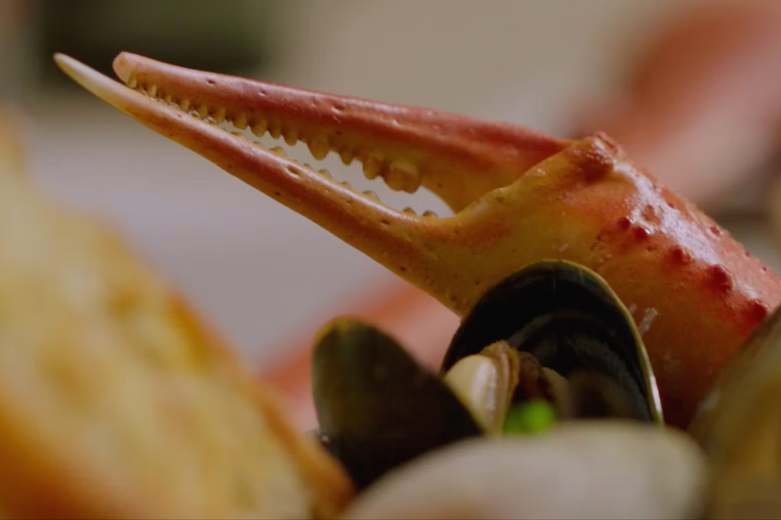 Close up of king crab leg on table